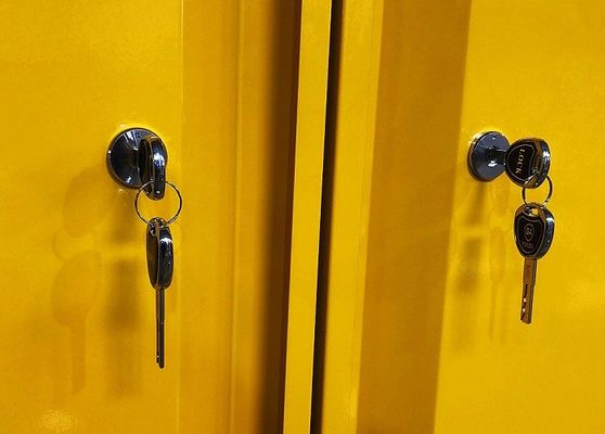 購入 化学物料の保管用キャビネットは,危険物質の保管用として109x46x123CM,109x46x165CM,および109x86x165CMのサイズ オンライン製造